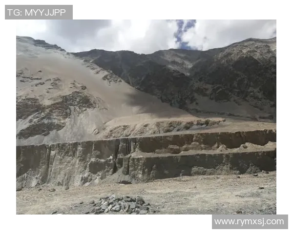 武汉足球队在钻石联赛中的崛起与挑战之路全景回顾