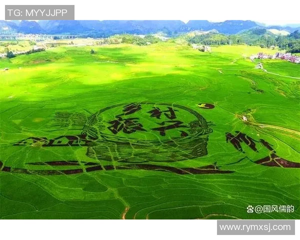 足球明星回乡助力乡村振兴整个村庄因他而焕发新生机